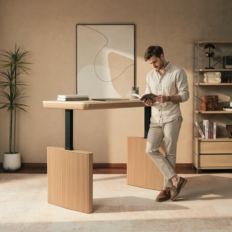 Modern Electric Sit-Stand Desk with Storage | FlexiSpot